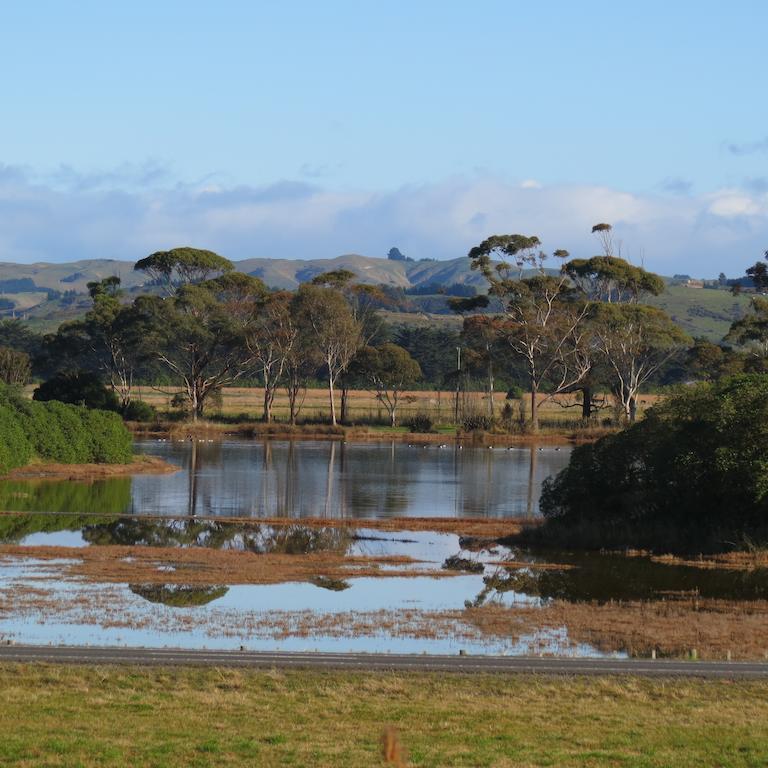 Fairley Motor Lodge Napier Bagian luar foto